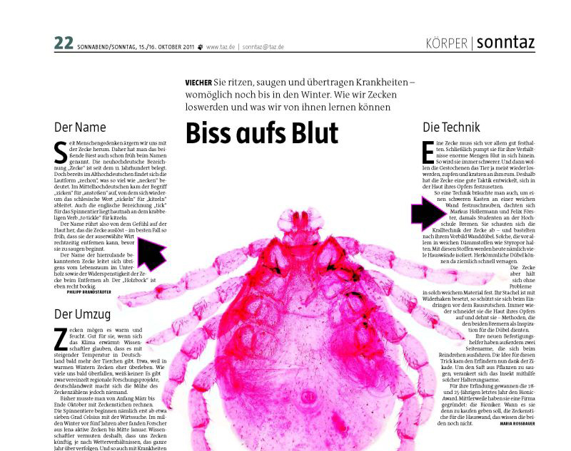 Biss-aufs-Blut Cut in [:de]presse[:en]Press[:]